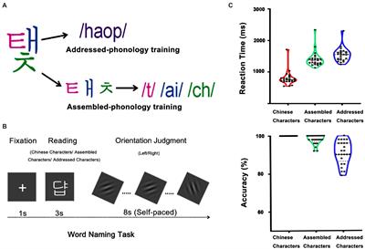 Individuals’ preference on reading pathways influences the involvement of neural pathways in phonological learning